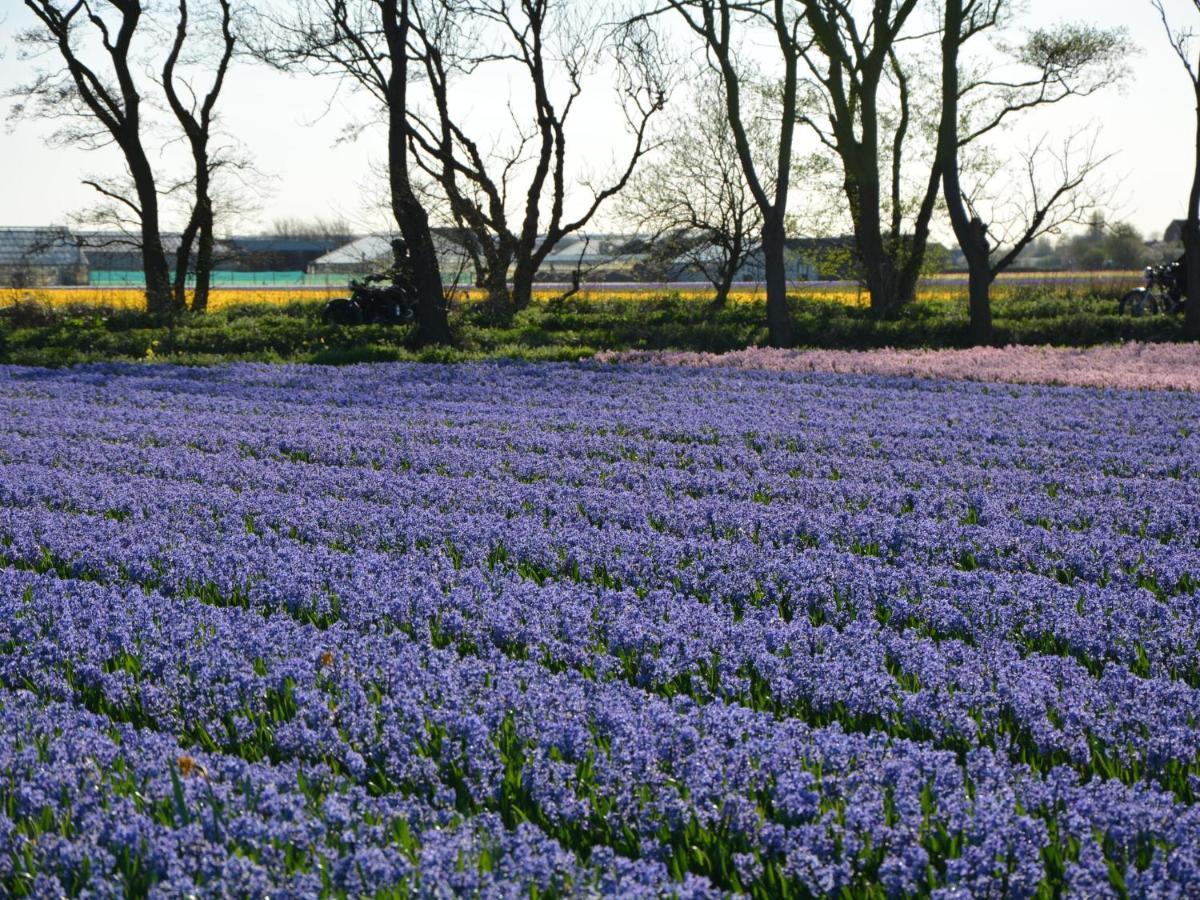 Cosy Holiday Home In Noordwijkerhout Near Lake エクステリア 写真