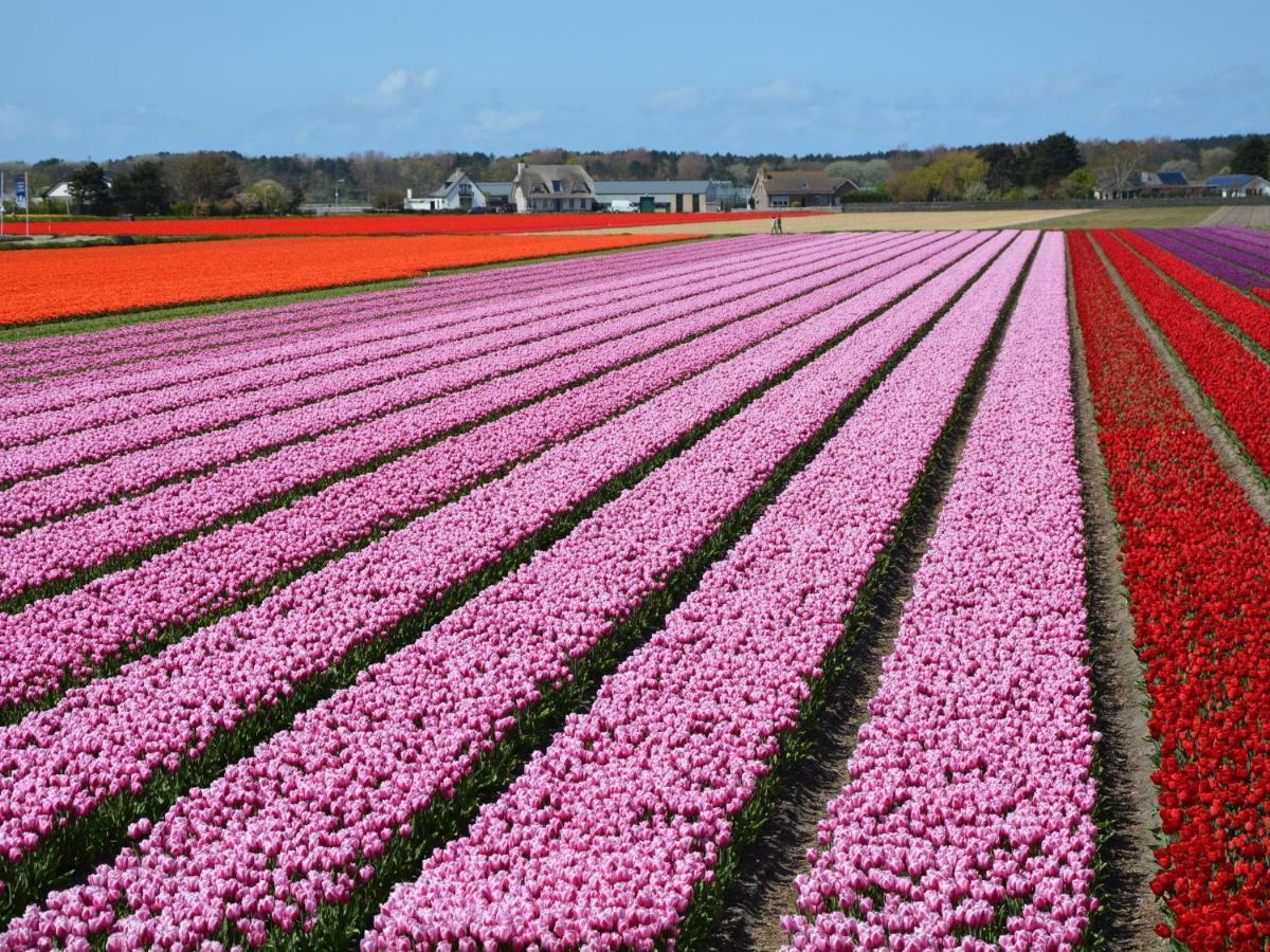 Cosy Holiday Home In Noordwijkerhout Near Lake エクステリア 写真